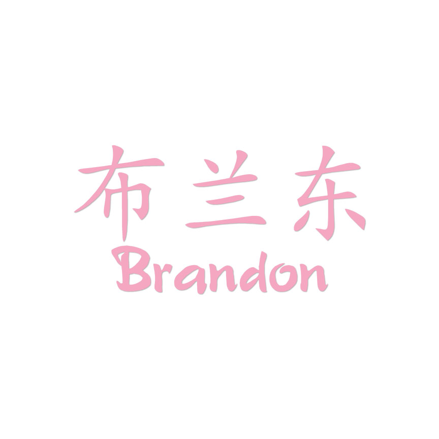 Chinese Symbol Brandon Name - Decal Sticker - Multiple Colors